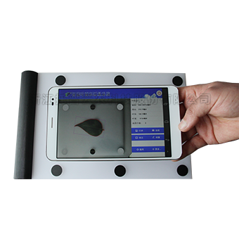 智能叶面积测量系统 智能叶面积测量系统