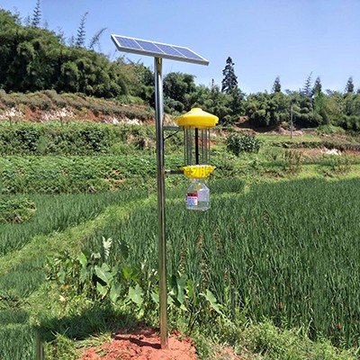 太阳能杀虫灯实景图 太阳能杀虫灯实景图