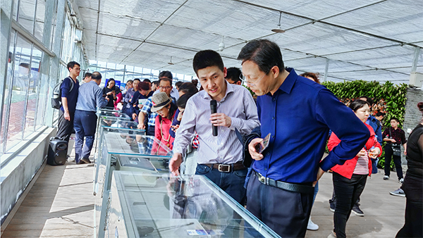 茄子视频懂你的更多副总经理陈曦向培训班介绍托普智能终端 茄子视频懂你的更多副总经理陈曦向培训班介绍托普智能终端