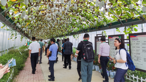 多个国家农业领导与专家在观摩研讨 多个国家农业领导与专家在观摩研讨