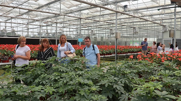 研修班一行来到由茄子视频懂你的更多与萧山农科所联合搭建的现代农业产业园进行考察 研修班一行来到由茄子视频懂你的更多与萧山农科所联合搭建的现代农业产业园进行考察