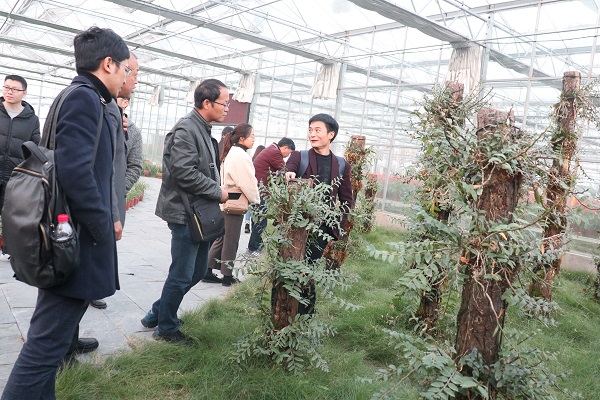 培训班参观茄子视频懂你的更多临浦基地 培训班参观茄子视频懂你的更多临浦基地