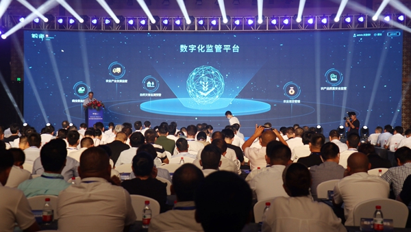 数字应用管理平台建设 数字应用管理平台建设