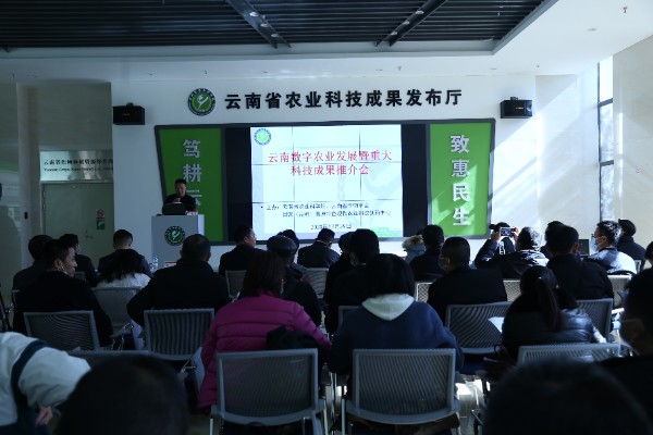 推介会现场 推介会现场