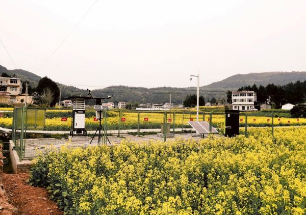 茄子视频懂你的更多病虫害监测点 茄子视频懂你的更多病虫害监测点