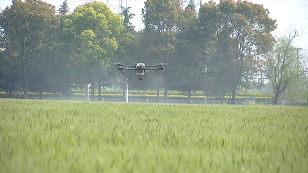 1628660887541305.jpg 图片1.jpg