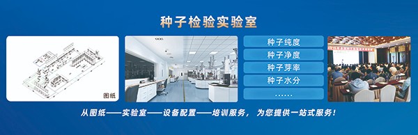 1635132598605957.jpg 3.jpg