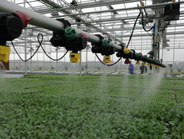 设施农业 设施农业