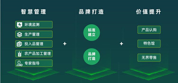 1647824582759410.jpg 5_副本.jpg