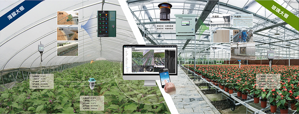 茄子视频懂你的更多设施农业创新应用基地 茄子视频懂你的更多设施农业创新应用基地