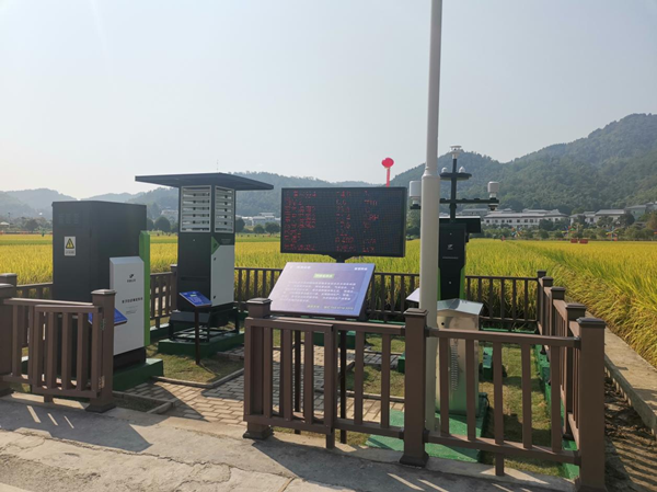 茄子视频懂你的更多农作物病虫害监测点 茄子视频懂你的更多农作物病虫害监测点