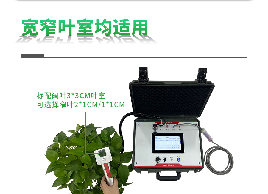 光合作用测定仪 光合作用测定仪
