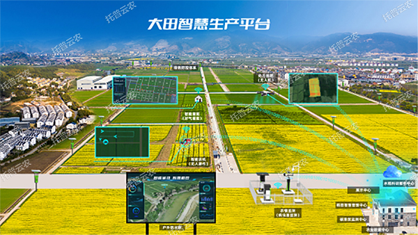 1685944650670415.jpg 8.jpg