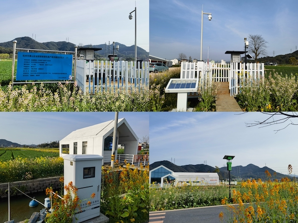 1715417812401621.jpg 1.jpg