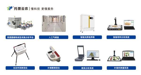 1715931991620587.jpg SEO (4).jpg