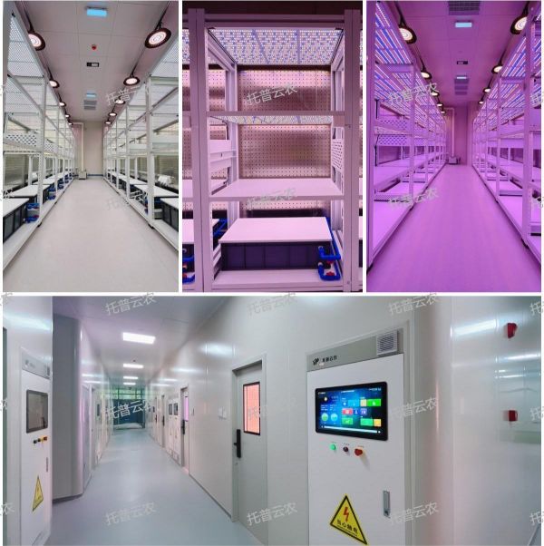 1722933245108541.jpg SEO2.jpg