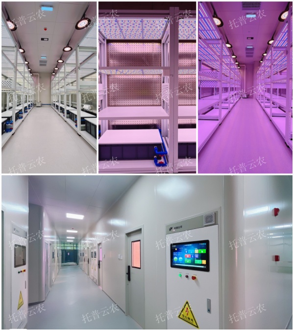 1723800437497199.jpg 图片9_副本.jpg