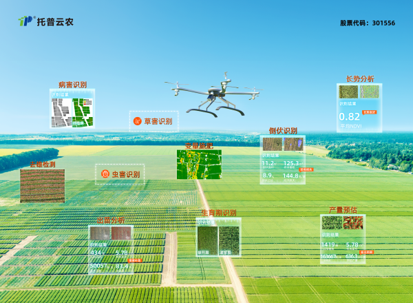 1732525427402438.png 11_副本.png