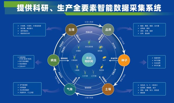 1732771412651112.jpg 图5.jpg